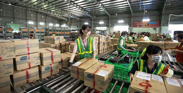 Vietnam’s logistics firms face surging opportunities but limited capacity