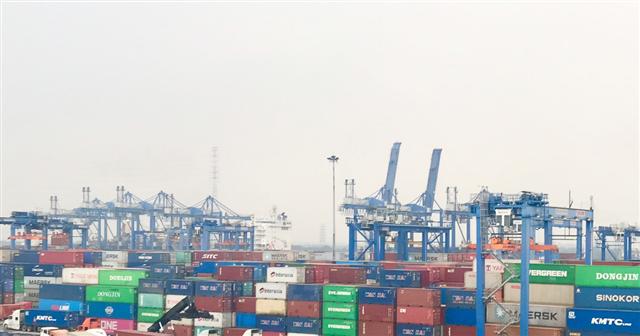 Hàng tồn chạm ngưỡng 100%, cảng Cát Lái đứng trước nguy cơ gián đoạn hoạt động