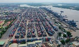 Worker depleted HCMC port faces disruption as containers pile up