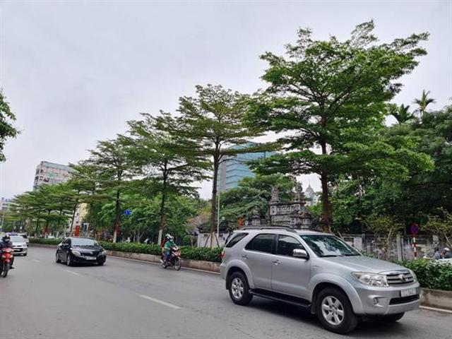 Bắt Tổng Giám đốc Cty Cây xanh Hà Nội vì 'thổi giá' cây, gây thiệt hại 30 tỷ đồng