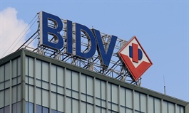 BIDV (BIC) profit surges 85 pct