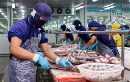 70 pct of southern seafood companies cannot keep workers on-site, shut