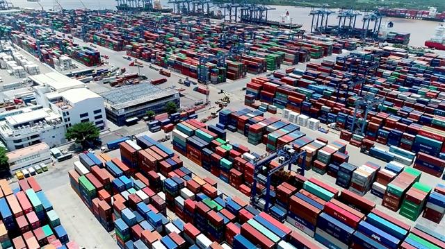 Cảng Cát Lái tồn hơn 100.000 container, hải quan TP.HCM kiến nghị gỡ khó cho doanh nghiệp