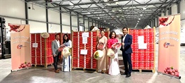 First batch of Vietnamese lychees shipped to the Netherlands by sea