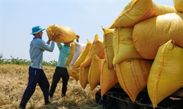 Transport disruption leaves millions of tons of farm produce stranded in south