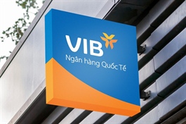 VIB maintains strong growth momentum