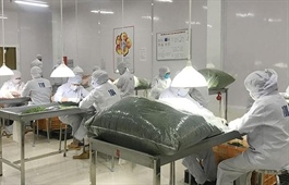 Lam Dong Province supports enterprises hit by pandemic