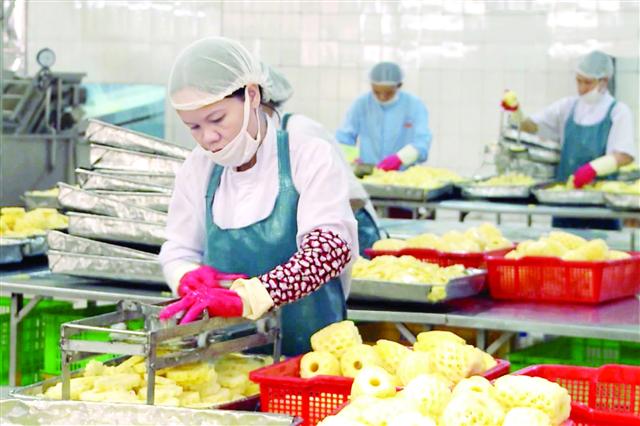 Free trade deal boosts produce exports to Russia