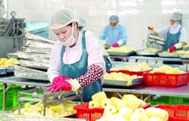 Free trade deal boosts produce exports to Russia