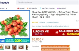 E-commerce helps Vietnamese manufacturers, consumers through Covid-19