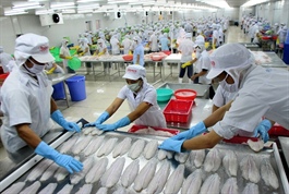 Vietnam aims to become world’s seafood processing hub by 2030