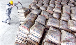 Cement industry faces new market environment