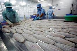 China cuts seafood imports from Vietnam on Covid fears