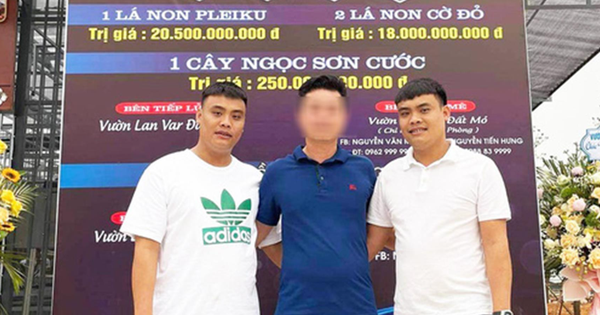 Vụ bắt anh em đại gia lan đột biến ở Quảng Ninh: Phanh phui 