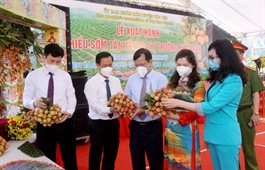 CPTPP helps increase Vietnamese produce exports to Japan