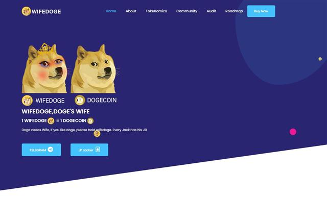 Đồng tiền tương tự Dogecoin tăng trưởng hơn 3.000% một ngày ảnh 1