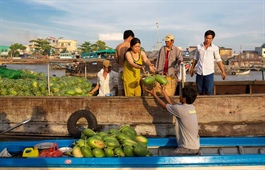The Dutch help Mekong Delta farmers grow citrus trees