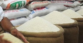 Asia rice: Vietnamese rates rebound; higher shipping costs curb Indian exports