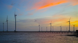 Covid-19 likely to leave wind power investment in Vietnam at risk
