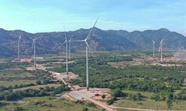 Global agency proposes incentive extension for Vietnam wind power projects