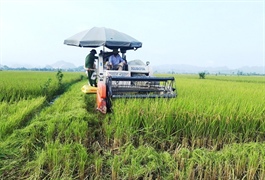 Vietnam set to launch international forum on agricultural digital transformation