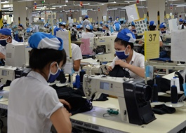Seven Mekong Delta textile companies want workers immediately vaccinated against Covid