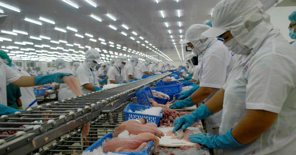 Ngành thủy sản Việt Nam xuất siêu 4,23 tỷ USD trong 8 tháng đầu năm