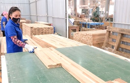 Vietnam’s wood industry strives to extend its reach globally