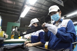 Strong private sector key to Vietnam economic transformation: Report