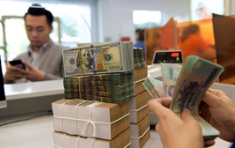 Government bonds reverse Vietnam's dependence on foreign loans