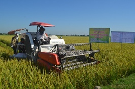 Vietnam's agricultural sector on track to realize export targets