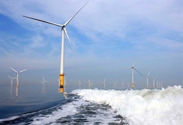Offshore wind to bring opportunities to Binh Thuan Province