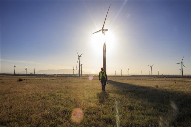 HSBC blows green support to Vietnam's wind energy sector