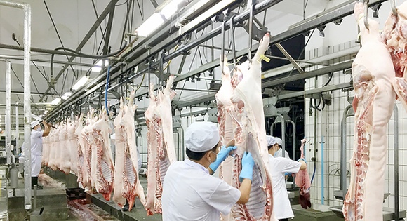 Giá lợn giảm xuống mức kỷ lục, đề xuất siết nhập khẩu thịt ngoại
