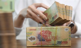 Vietnam set to keep public debt under control