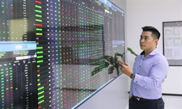 VN-Index climbs to new high