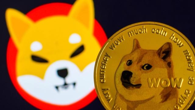 Shiba Inu: Những chú chó Shiba Inu dễ thương không chỉ nổi tiếng tại Nhật Bản mà còn trở thành biểu tượng của Dogecoin - đồng tiền ảo đang thu hút sự chú ý trên toàn thế giới. Hãy cùng khám phá về chú chó Shiba đáng yêu này và tìm hiểu vì sao nó lại thu hút được rất nhiều sự quan tâm.