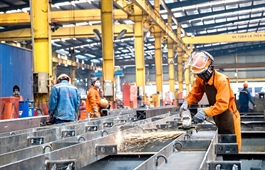 Opportunities abound for Vietnamese support industries