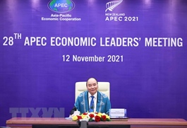 Vietnam calls for APEC members to overcome differences for shared benefits