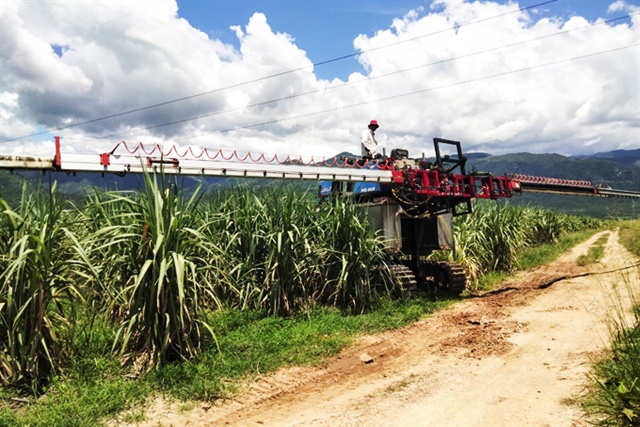 Most listed foreign companies (SBT) in Vietnam profitable