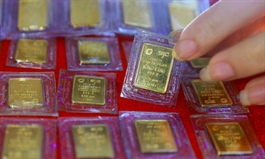 Gold price gains in eighth session