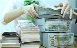 Vietnam stay firm in top 10 remittance recipients in 2021 with US$18.1 billion