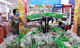 Vietnam household spending to return to conventional patterns in 2022: Fitch Solutions