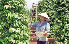 Vietnamese agricultural products record impressive exports