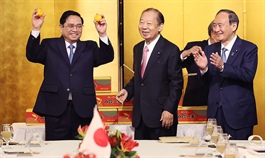PM Chinh calls for cross-sector cooperation with Japan in official visit