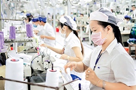 Vietnam considers mobilizing private resources to aid economic recovery efforts