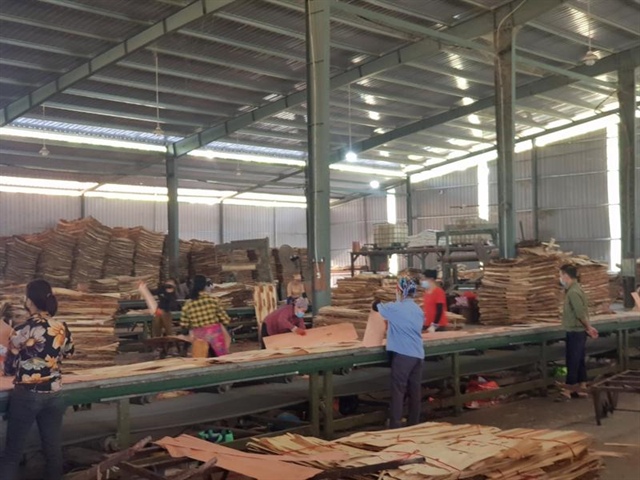 Nhiều mối lo ngại trong giao thương gỗ nguyên liệu