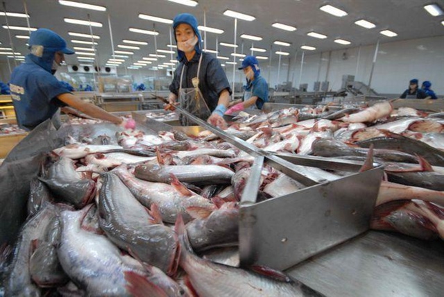 Xuất khẩu cá tra năm 2021 dự báo đạt 1,54 tỉ USD - ảnh 1