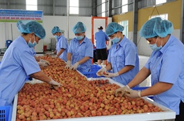 Vietnam's farm exports set to hit record in 2021