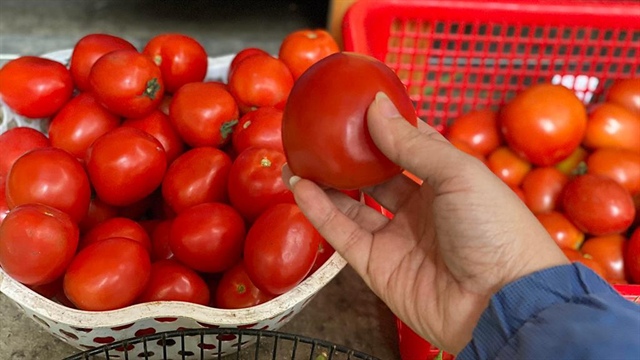 Hà Nội: Cà chua đắt ngang… giá thịt - ảnh 1